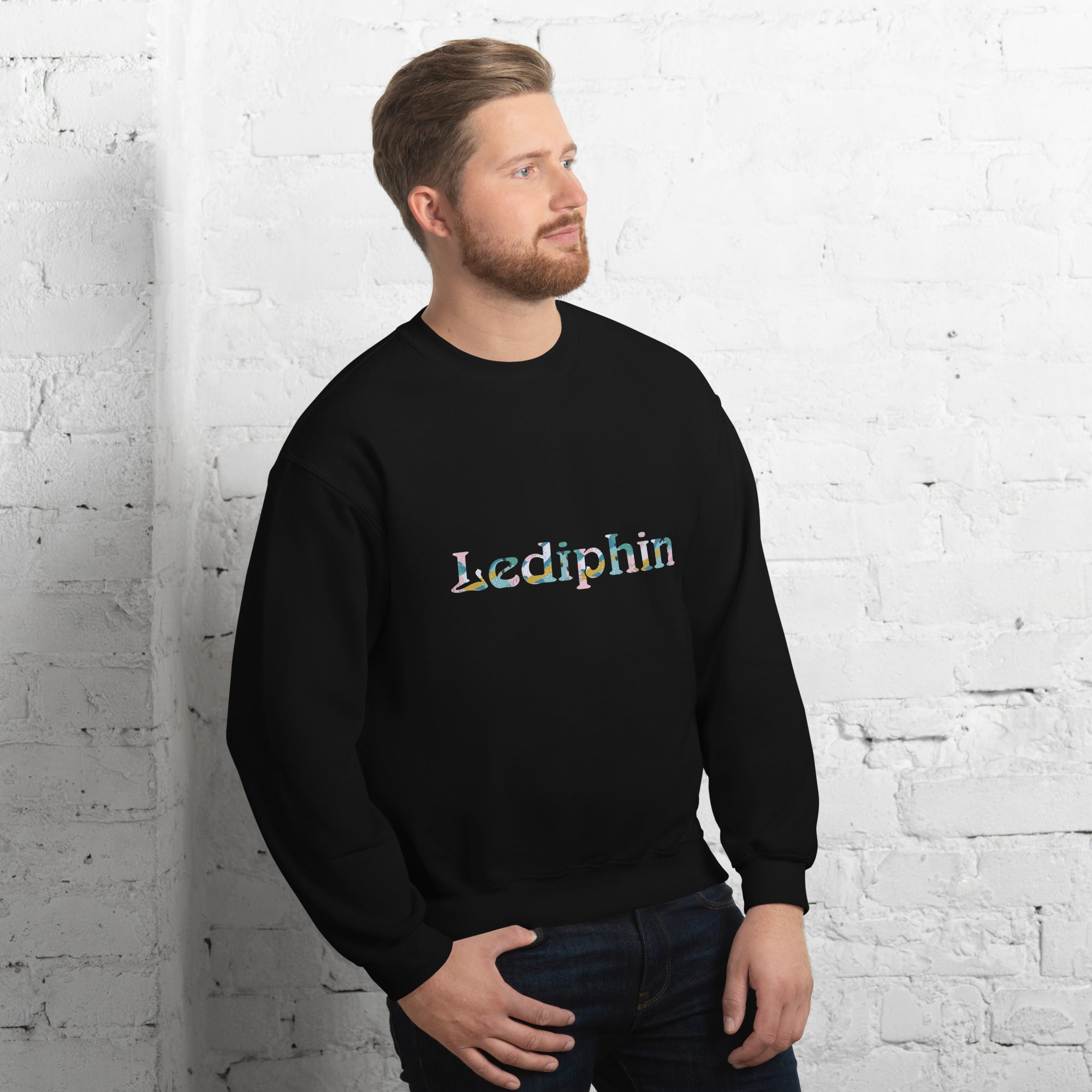 LEDIPHIN Tech Sweatshirt